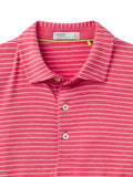 Cloud Polo - Brookline Stripe