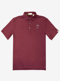 Cloud Polo - Ace Dot - Harvard